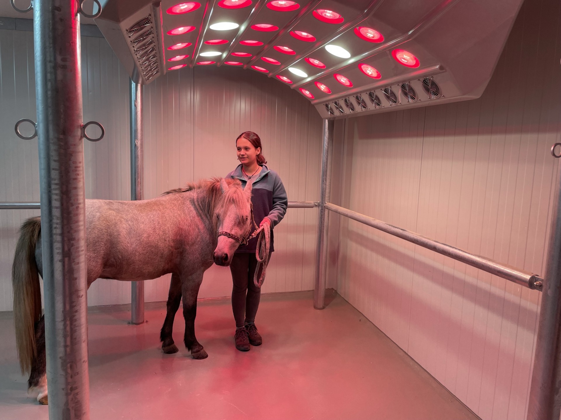 BB-Ranch in 8160 Weiz | Hazelhorse