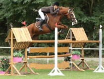 Bild 1 Catalaya(Cati) - Deutsches Warmblut