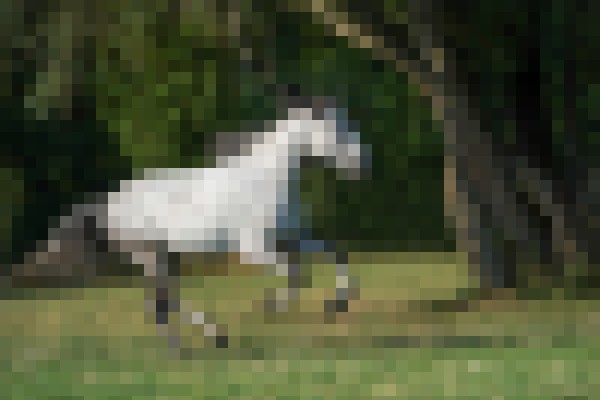 Bild Reitstall ********* ****